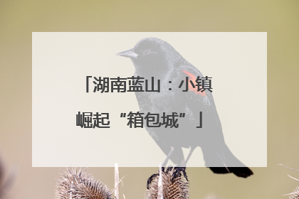 湖南蓝山：小镇崛起“箱包城”
