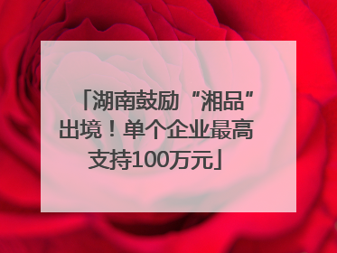 湖南鼓励“湘品”出境！单个企业最高支持100万元