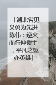 湖北省见义勇为先进陈伟：逆火而行伸援手，平凡之躯亦英雄