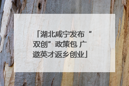 湖北咸宁发布“双创”政策包 广邀英才返乡创业