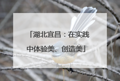 湖北宜昌：在实践中体验美、创造美