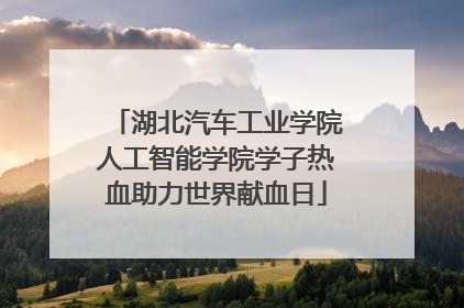 湖北汽车工业学院人工智能学院学子热血助力世界献血日