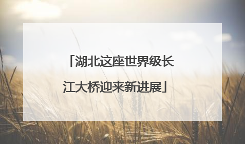 湖北这座世界级长江大桥迎来新进展