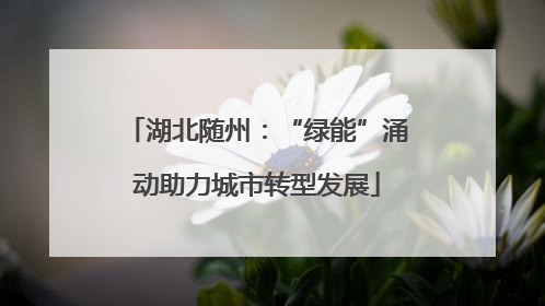 湖北随州：“绿能”涌动助力城市转型发展