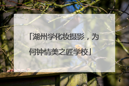 湖州学化妆摄影，为何钟情美之匠学校