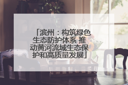 滨州：构筑绿色生态防护体系 推动黄河流域生态保护和高质量发展
