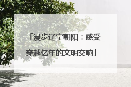 漫步辽宁朝阳：感受穿越亿年的文明交响