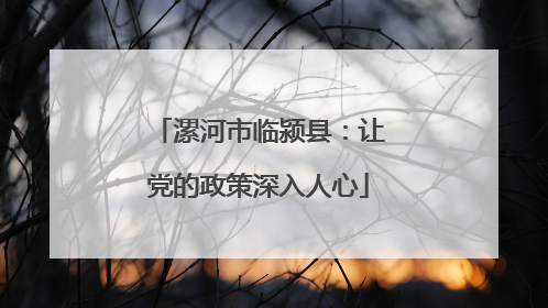 漯河市临颍县：让党的政策深入人心