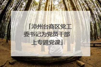 漳州台商区党工委书记为党员干部上专题党课
