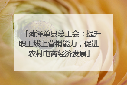 菏泽单县总工会：提升职工线上营销能力，促进农村电商经济发展