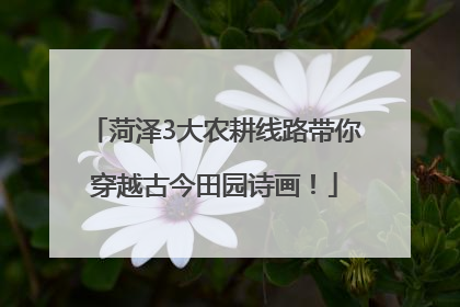 菏泽3大农耕线路带你穿越古今田园诗画！