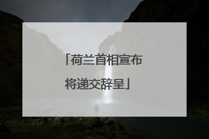 荷兰首相宣布将递交辞呈