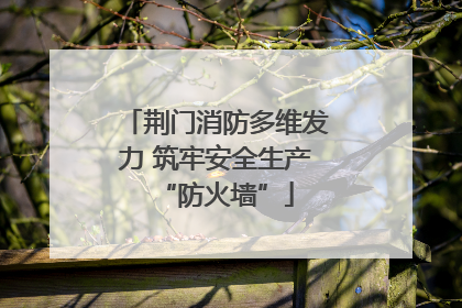荆门消防多维发力 筑牢安全生产“防火墙”