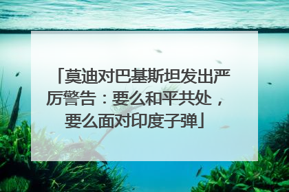 莫迪对巴基斯坦发出严厉警告：要么和平共处，要么面对印度子弹