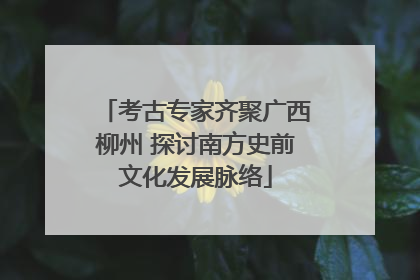 考古专家齐聚广西柳州 探讨南方史前文化发展脉络