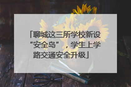 聊城这三所学校新设“安全岛”，学生上学路交通安全升级