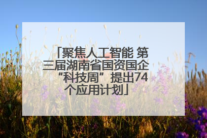聚焦人工智能 第三届湖南省国资国企“科技周”提出74个应用计划