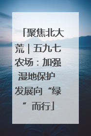 聚焦北大荒｜五九七农场：加强湿地保护 发展向“绿”而行