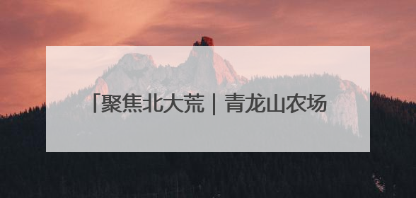 聚焦北大荒｜青龙山农场有限公司：基层民兵参与农业环境综合治理显效