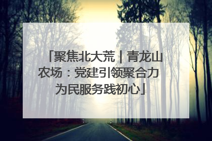 聚焦北大荒｜青龙山农场：党建引领聚合力 为民服务践初心