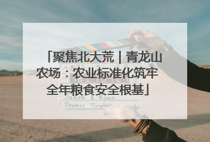 聚焦北大荒｜青龙山农场：农业标准化筑牢全年粮食安全根基
