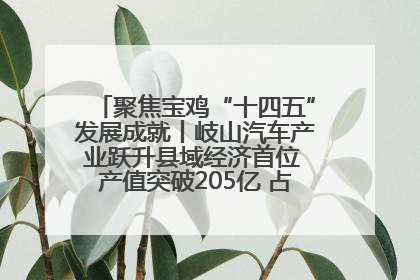 聚焦宝鸡“十四五”发展成就丨岐山汽车产业跃升县域经济首位 产值突破205亿 占规上工业75%