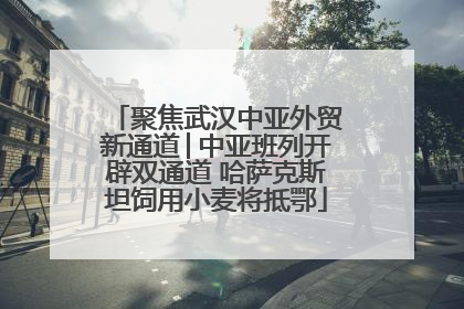 聚焦武汉中亚外贸新通道│中亚班列开辟双通道 哈萨克斯坦饲用小麦将抵鄂
