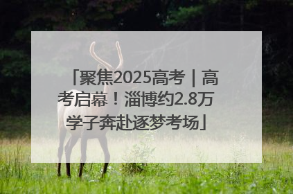 聚焦2025高考｜高考启幕！淄博约2.8万学子奔赴逐梦考场