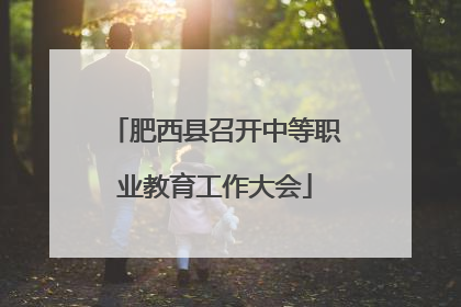肥西县召开中等职业教育工作大会