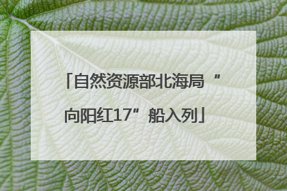自然资源部北海局“向阳红17”船入列