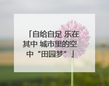 自给自足 乐在其中 城市里的空中“田园梦”