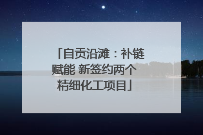 自贡沿滩：补链赋能 新签约两个精细化工项目