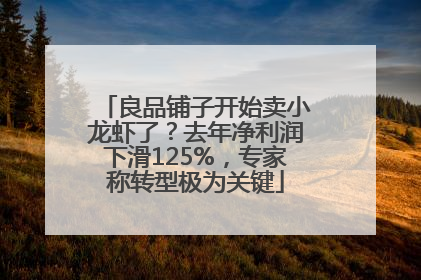 良品铺子开始卖小龙虾了？去年净利润下滑125%，专家称转型极为关键