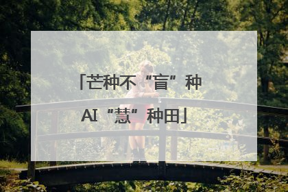 芒种不“盲”种 AI“慧”种田