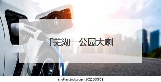 芜湖一公园大喇叭辱骂遛狗市民？真相来了……