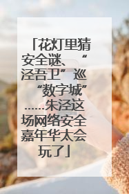 花灯里猜安全谜、“泾吾卫”巡“数字城”……朱泾这场网络安全嘉年华太会玩了