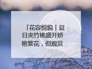 花容悦貌｜夏日夹竹桃盛开娇艳繁花，但观赏时“碰不得”