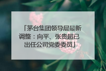 茅台集团领导层最新调整：向平、张贵超已出任公司党委委员