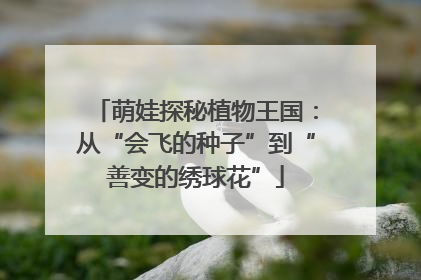 萌娃探秘植物王国：从“会飞的种子”到“善变的绣球花”