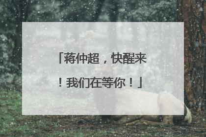 蒋仲超，快醒来！我们在等你！