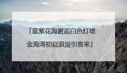 蓝紫花海邂逅白色灯塔 金海湾初夏浪漫引客来
