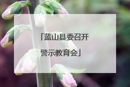 蓝山县委召开警示教育会