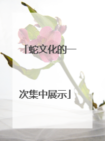 蛇文化的一次集中展示