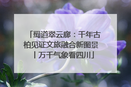 蜀道翠云廊：千年古柏见证文旅融合新图景丨万千气象看四川