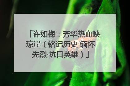 许如梅：芳华热血映琼崖（铭记历史 缅怀先烈·抗日英雄）