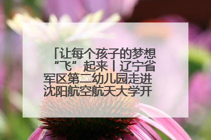 让每个孩子的梦想“飞”起来丨辽宁省军区第二幼儿园走进沈阳航空航天大学开展爱国主义教育