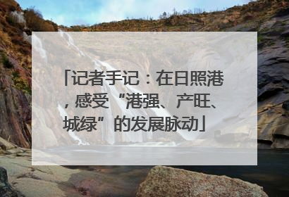 记者手记：在日照港，感受“港强、产旺、城绿”的发展脉动