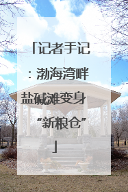 记者手记：渤海湾畔盐碱滩变身“新粮仓”