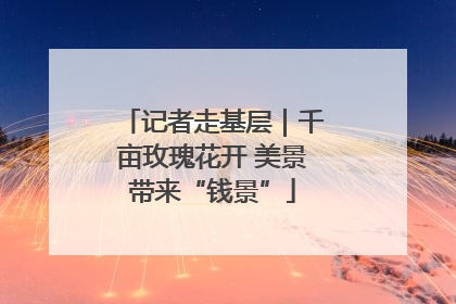 记者走基层｜千亩玫瑰花开 美景带来“钱景”