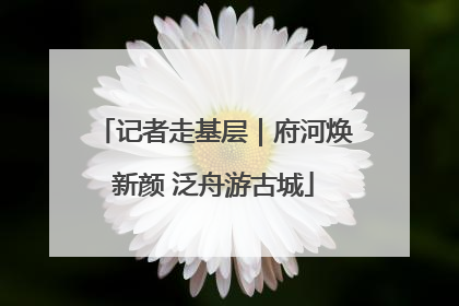 记者走基层｜府河焕新颜 泛舟游古城